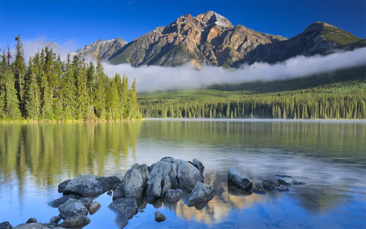 创意先进信息化